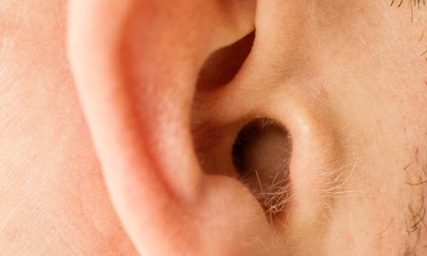 Upclose photo of ear