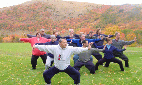 Master Lu tai chi 