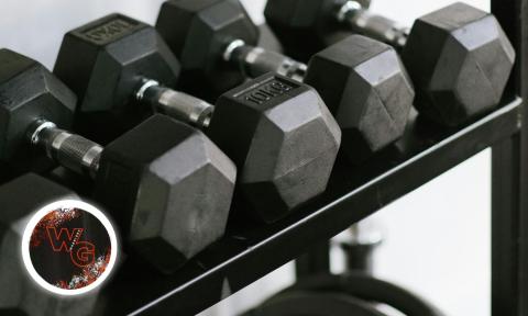 rack of assorted sized dumbells with Warrior Gym logo in bottom left corner