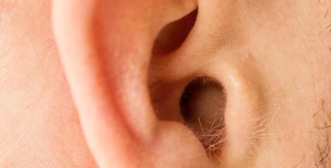 Upclose photo of ear