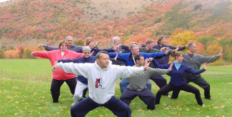 Master Lu tai chi 