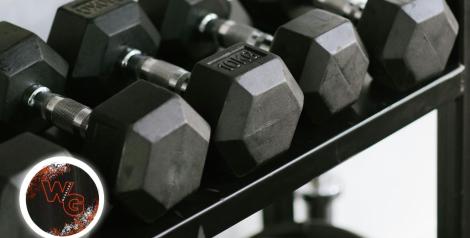 rack of assorted sized dumbells with Warrior Gym logo in bottom left corner